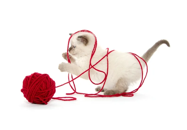 Милый котенок играет с красной пряжей — стоковое фото