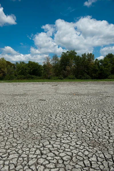 Gedroogde en gebarsten bed van wetland — Stockfoto