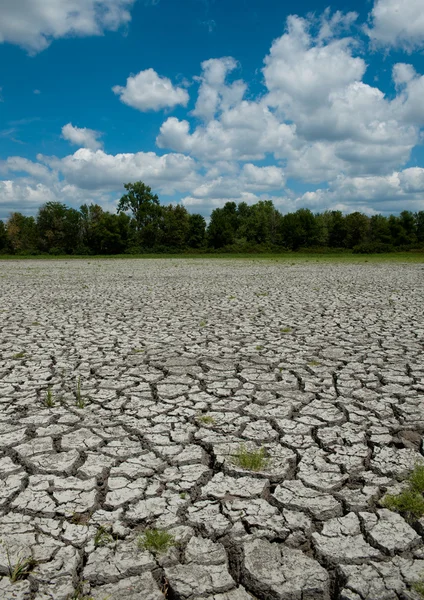 Gedroogde en gebarsten bed van wetland — Stockfoto