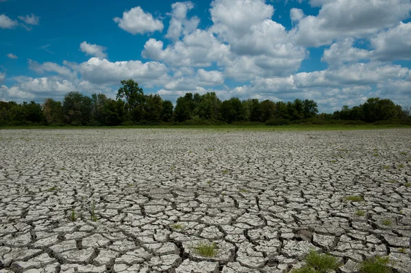 Gedroogde en gebarsten bed van wetland — Stockfoto