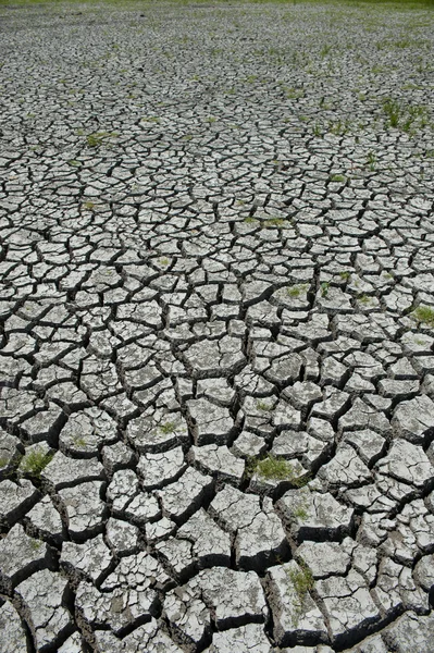 Wetland beschadigd door droogte — Stockfoto