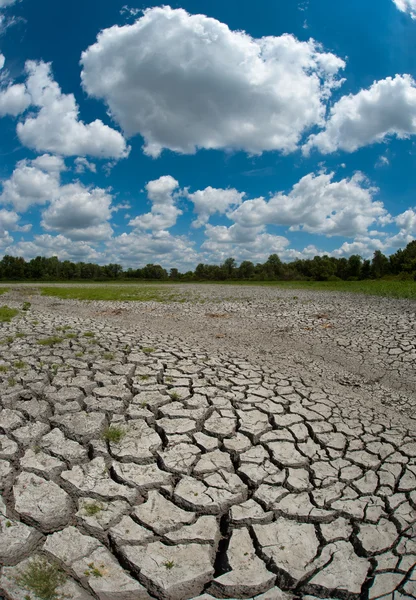 Gedroogde en gebarsten bed van wetland — Stockfoto