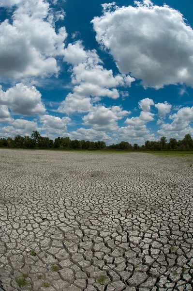 Gedroogde en gebarsten bed van wetland — Stockfoto