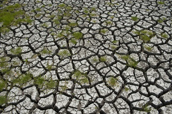 Zone umide danneggiate dalla siccità — Foto Stock