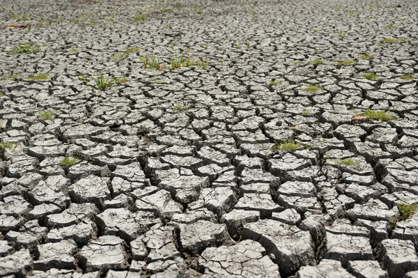 Wetland beschadigd door droogte — Stockfoto