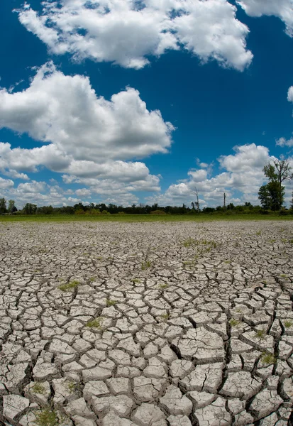 Gedroogde en gebarsten bed van wetland — Stockfoto