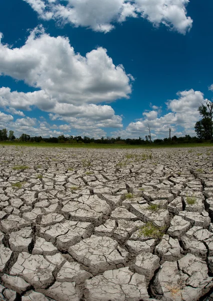 Gedroogde en gebarsten bed van wetland — Stockfoto