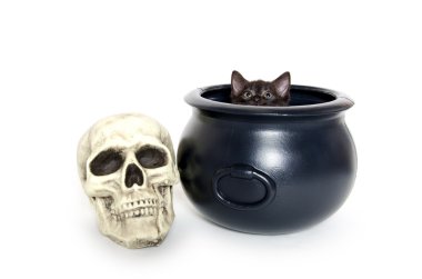 kazanı de siyah kedi