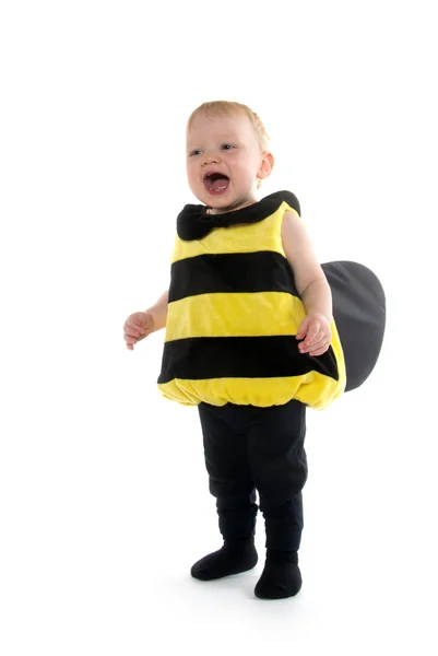 Baby boy in bumblebee costume — Stock Photo, Image