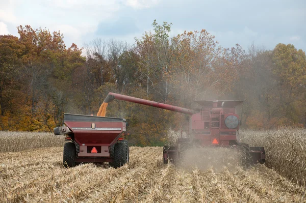 Combining corn field — Stock Photo, Image