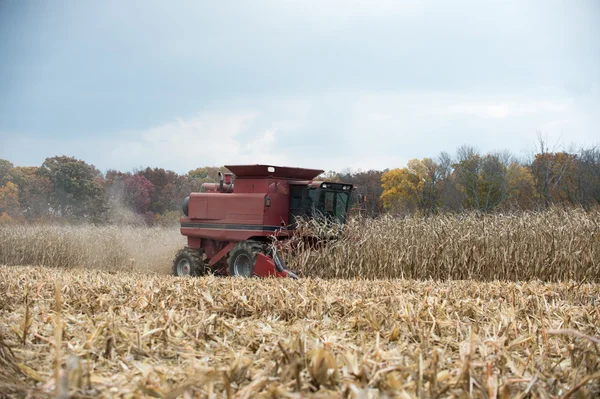 Combining corn field — Stock Photo, Image