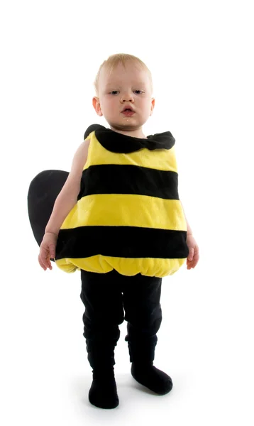 Baby boy in bumblebee costume Royalty Free Stock Images