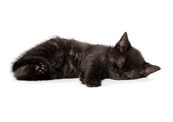 Black kitten sleeping — Stock Photo, Image