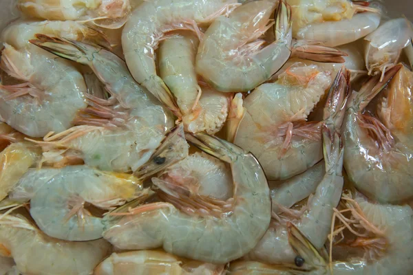 Defrosted prawns — Stock Photo, Image