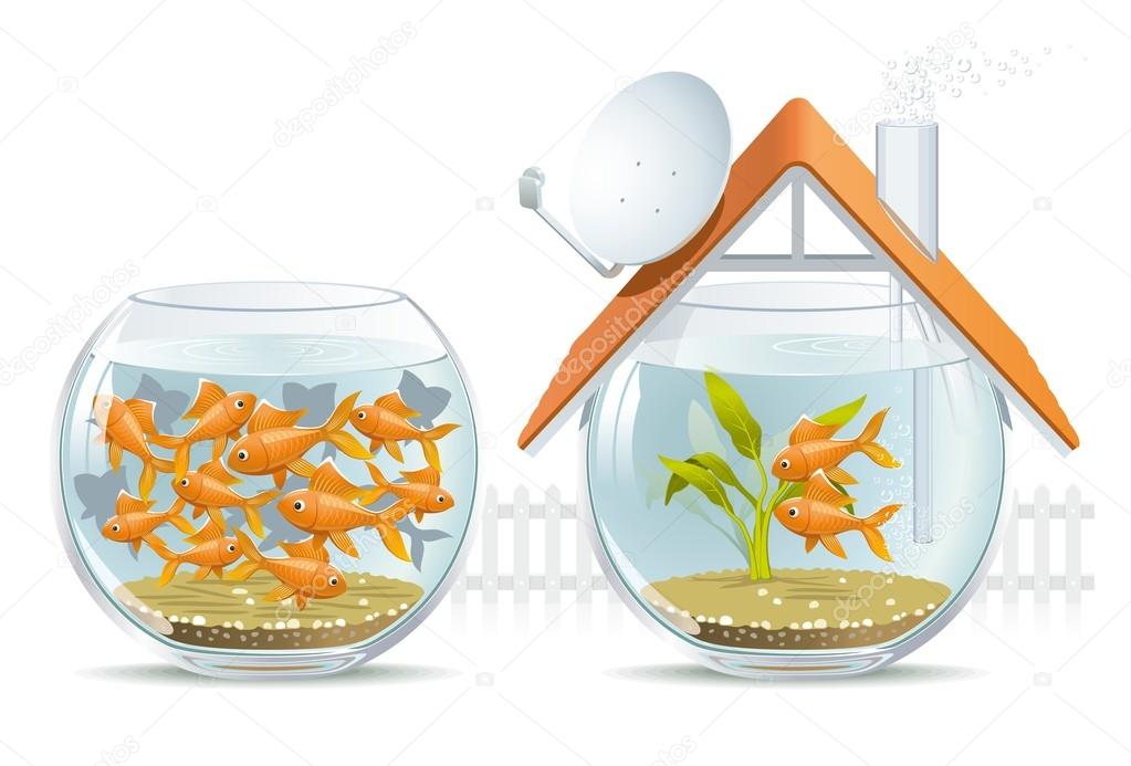 Aquarium home & social housing