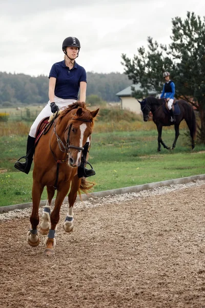 Jong Mooi Meisje Een Paard Paardensport Detail Sportpaard Ruiter Rechtenvrije Stockafbeeldingen