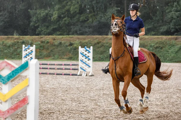 Jong Ruiter Meisje Beperken Een Paard Show Springen Cursus Paardensport Stockfoto