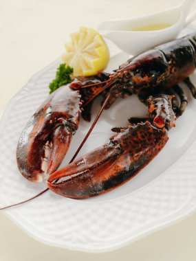 Akşam yemeği için taze ıstakoz. Otlu deniz ürünleri.