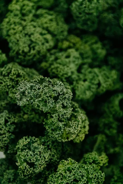 Primer Plano Boccolis Crudos Orgánicos — Foto de Stock