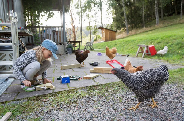 Girl Working Wood Chickens — Photo