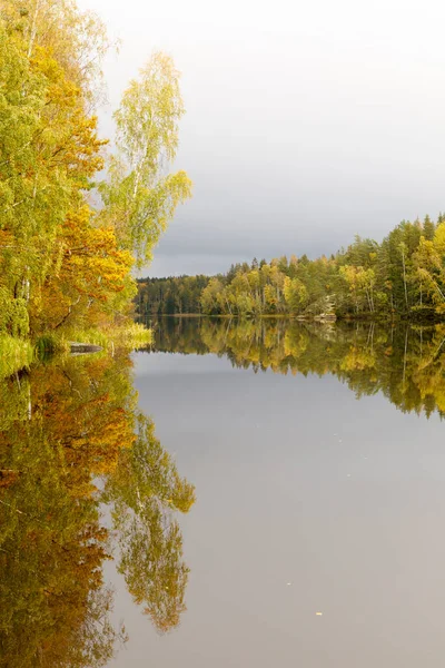 Höstträd Vid Reflekterande Sjö — Stockfoto