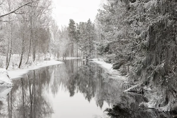 River Snowy Forest — Stock Photo, Image