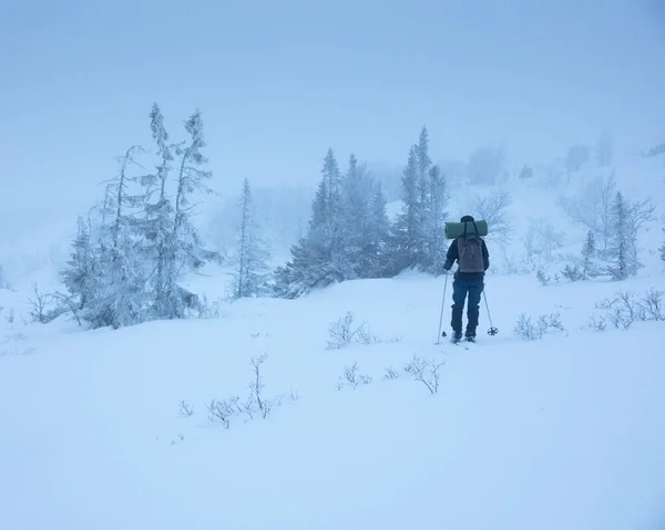Young Woman Hiking Snow — ストック写真