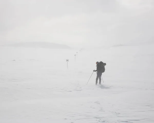Karlı Tarlada Yürüyüş Direkleri Olan Genç Bir Kadın — Stok fotoğraf