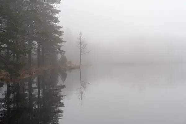 Nevoeiro Sobre Lago Narke Suécia — Fotografia de Stock