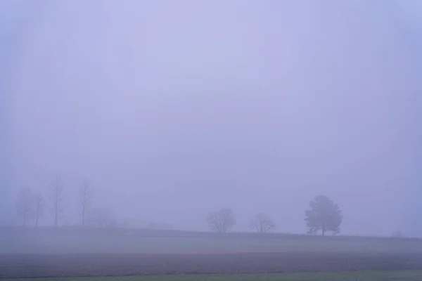 Árboles Colina Bajo Niebla —  Fotos de Stock