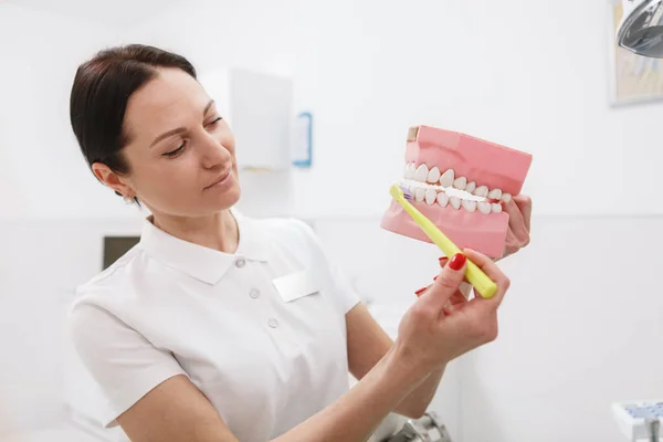Dentista Feminino Mostrando Como Escovar Dentes Corretamente Modelo Mandíbula Plástico — Fotografia de Stock