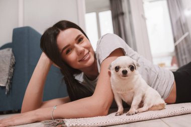 Muhteşem mutlu kadın ve onun chihuahua köpeği kameraya bakıyor, evde dinleniyor.