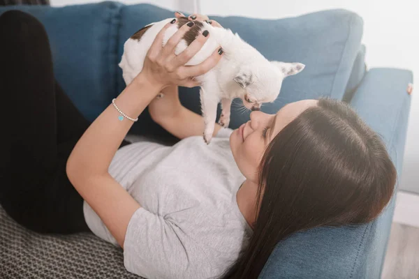 Mujer Joven Tocando Narices Con Pequeño Perro Chihuahua Acostado Sofá —  Fotos de Stock