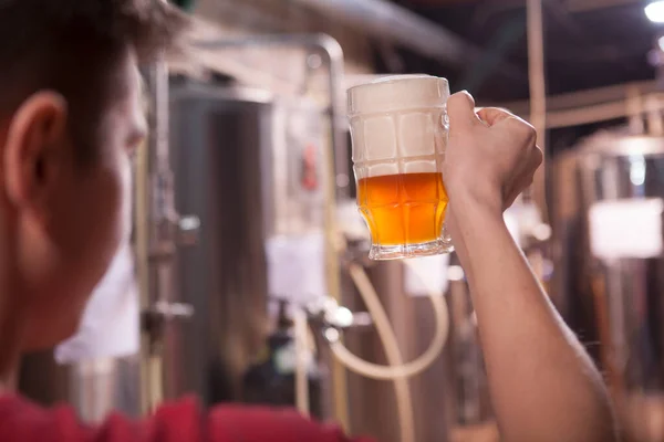 Cropped Close Brewer Examining Quality Freshly Brewed Beer Mug — Stock Photo, Image