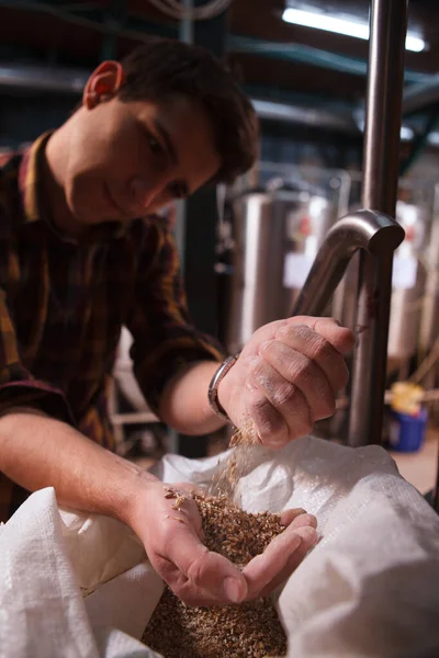 一个专业酿酒师检查大麦 在他的微型酿酒厂工作的垂直镜头 — 图库照片