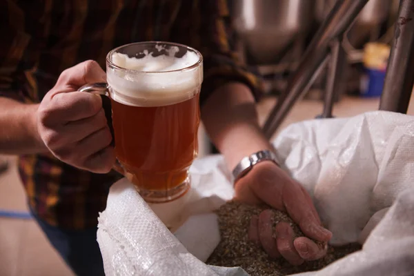 Cropped Close Brewer Holding Beer Mug Handful Barley — Stock Photo, Image