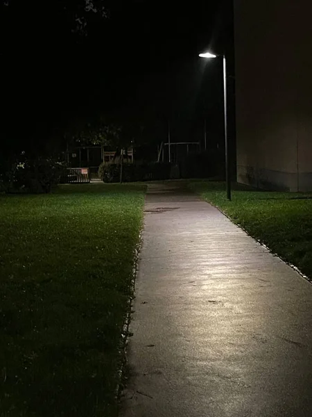 Asphalt lane with single street lamp glowing in the dark