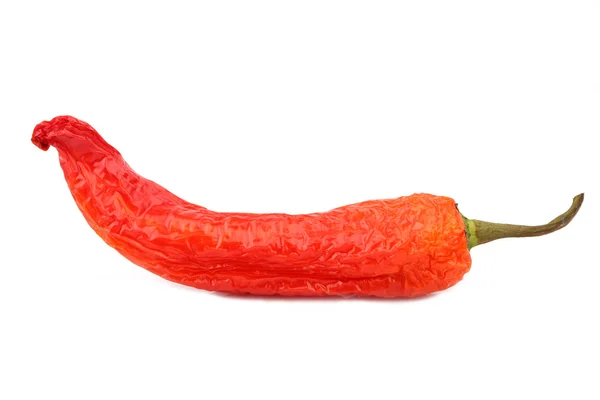 Rote Chilischote — Stockfoto