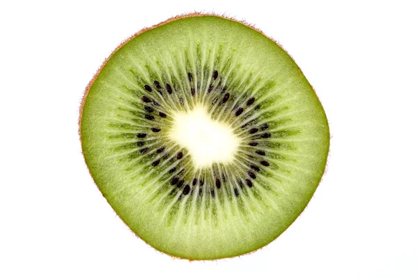 Kiwi aislado sobre fondo blanco — Foto de Stock