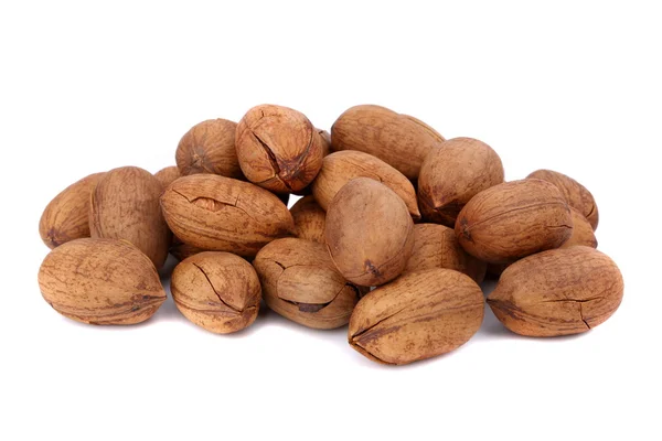 Pecan — Foto Stock