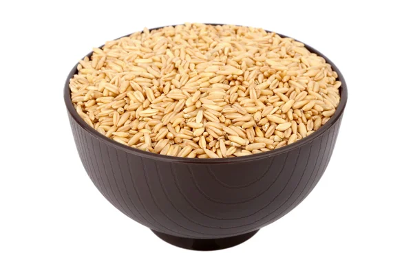 Oat grain — Stock Photo, Image