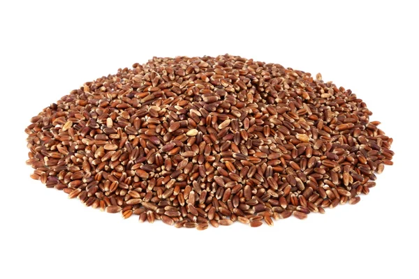 Brown oat grain — Stock Photo, Image