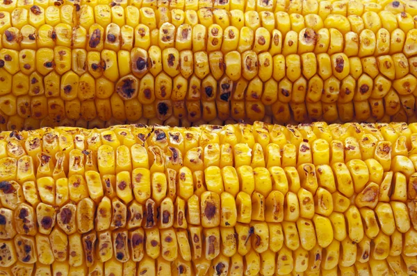 Broiled Sweet Corns — Stock Photo, Image