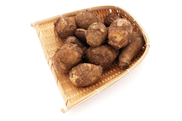 Satoimo (Colocasia Esculenta) — Φωτογραφία Αρχείου