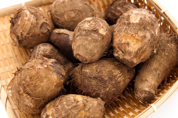 Colocasia Esculenta (Satoimo) — Stockfoto