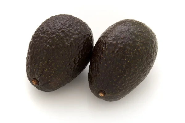 Avokado (Persea Americana)