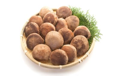Beyaz arka planda Shiitake mantarı (Japonya 'da Shiitake olarak adlandırılır))