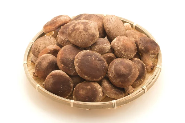 Shiitake Gomba Fehér Alapon Neve Shiitake Japánban — Stock Fotó