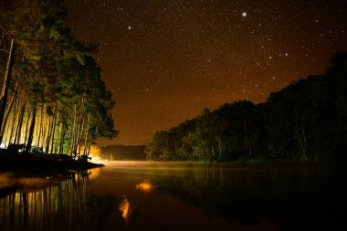 Yıldızlı gökyüzü ve nehir kıyılarıyla güzel bir gece.