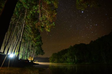 Yıldızlı gökyüzü ve nehir kıyılarıyla güzel bir gece.